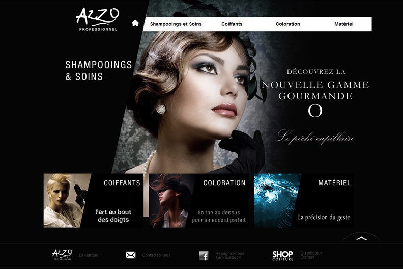 Azzo Professionnel