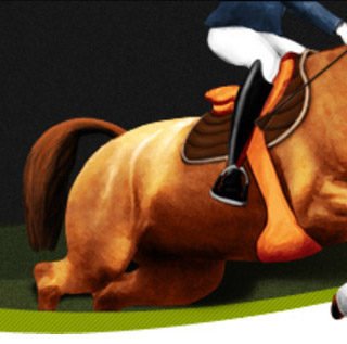 Mon cheval