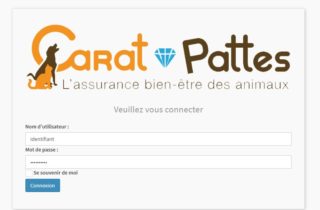 Carat Pattes Tracking Tool