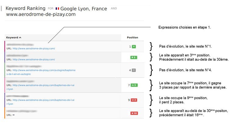 mini-lexicon-positioning-report