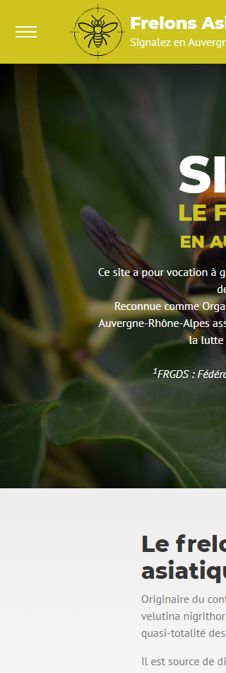Frelons Asiatiques